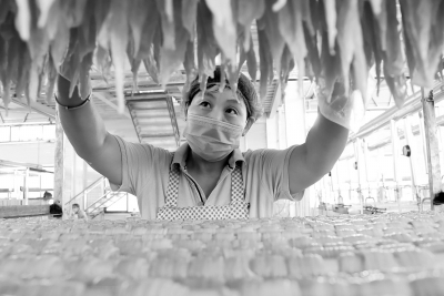 传统豆制品的现代商机——摄影报道引关注