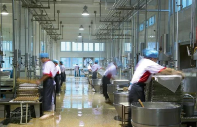 海归青年的创业传奇 90后海宁小伙回乡卖豆腐，三年创下年销售额超1.5亿元佳绩