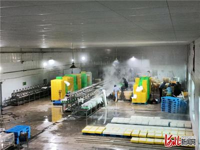 一亩泉酒·致敬名企 | 走进“臧师傅”石磨坊豆制品