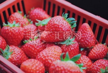 豆制品美食素材 探究豆腐干与中国菜系中的豆奶角色