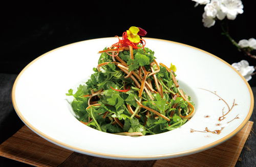 干豆腐丝图片素材下载指南 中国菜系中的豆腐之美